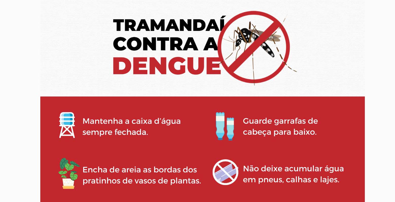 Tramandaí contra a dengue: Saiba quais os cuidados para evitar a proliferação do mosquito Aedes aegypti