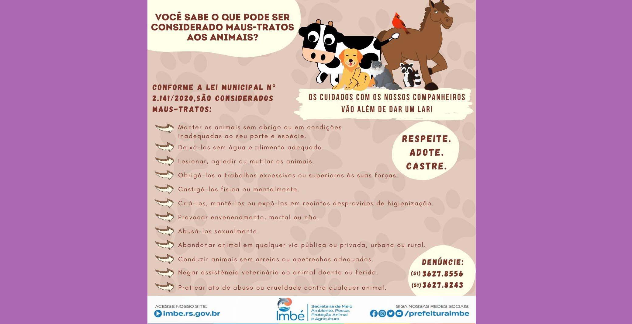 DEPAN informa sobre combate aos maus-tratos aos animais